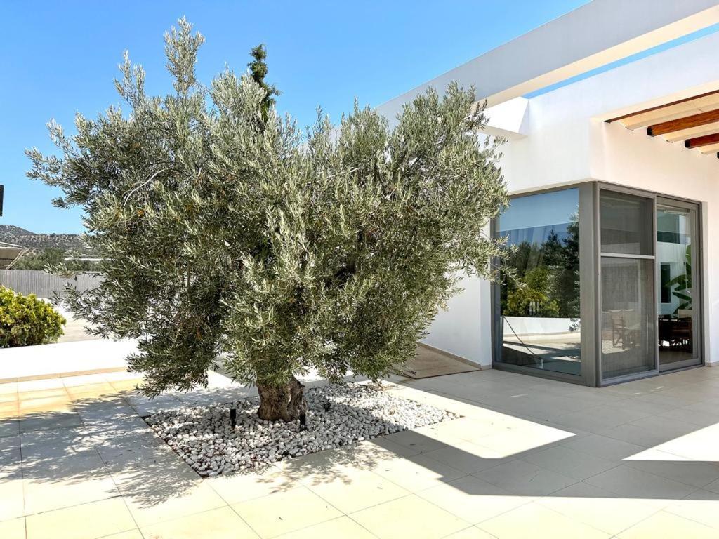 Leblanc Luxurious Beachfront Villa, Gcollectiongr Эрмиони Экстерьер фото
